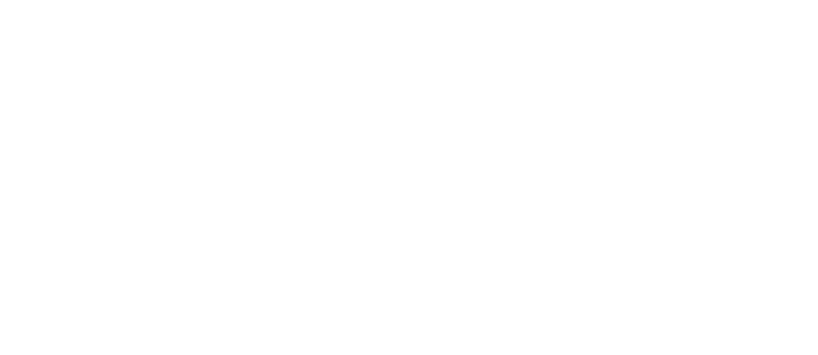 Fundación The Pink Force